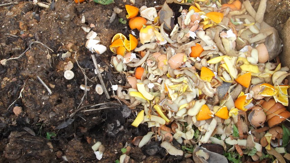 portfolio recyclage